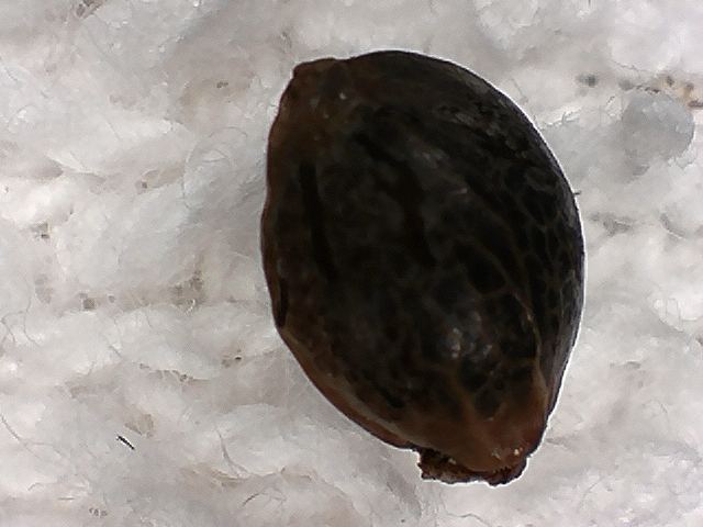S20170221 0001
