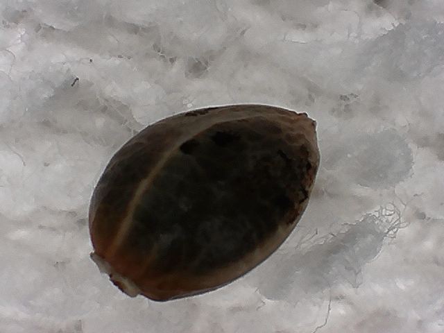 S20170221 0001
