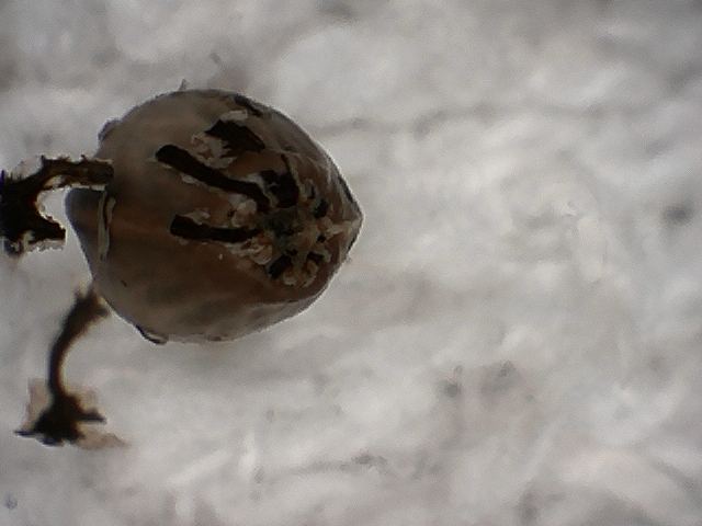 S20170221 0002