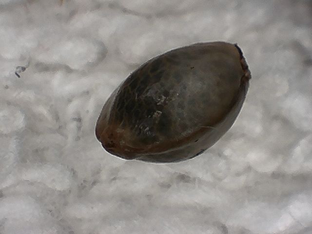 S20170221 0002