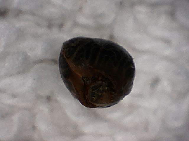 S20170221 0002