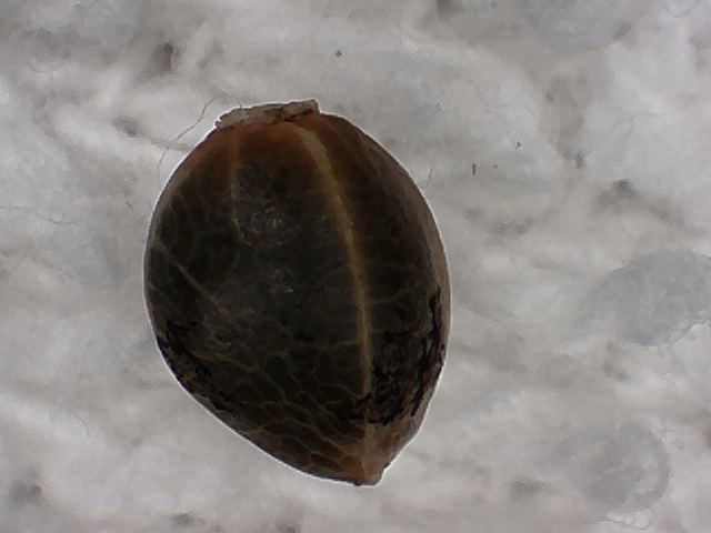 S20170221 0002