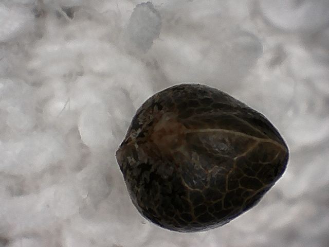 S20170221 0002