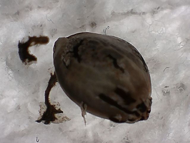 S20170221 0003