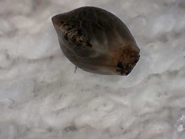 S20170221 0003