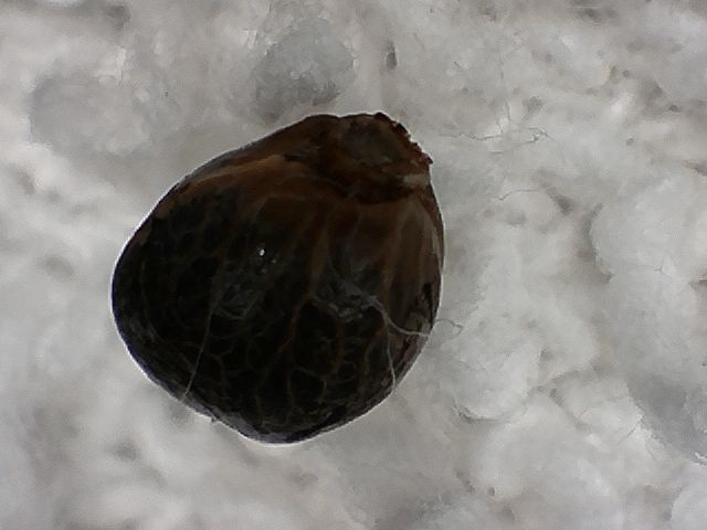 S20170221 0003