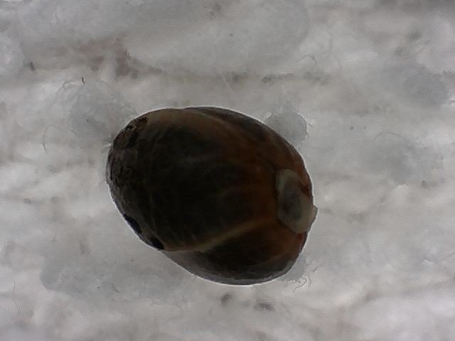 S20170221 0003