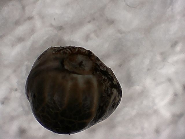 S20170221 0003