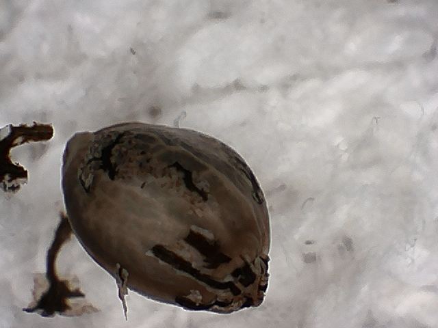S20170221 0004