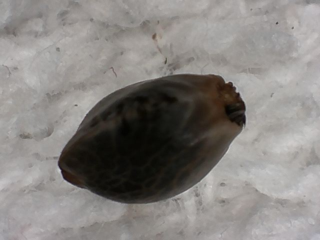 S20170221 0004