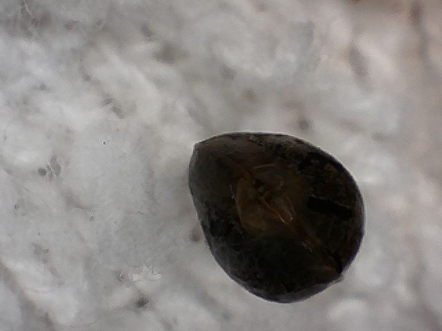 S20170221 0004