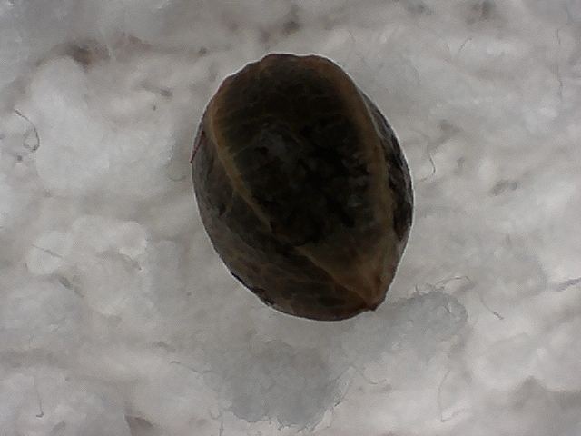 S20170221 0004
