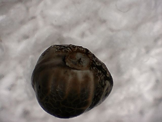 S20170221 0004