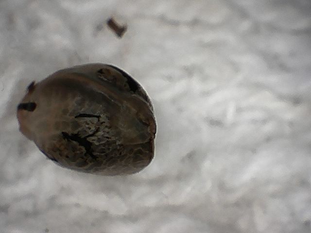 S20170221 0005