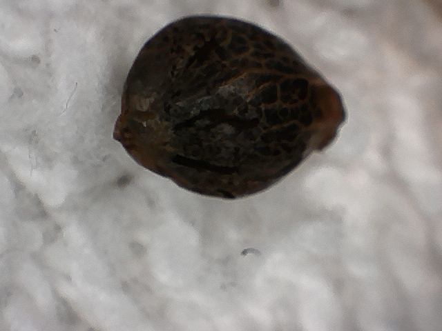 S20170221 0005