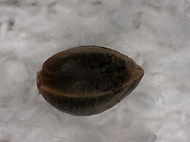 S20170221 0005