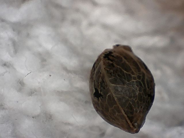S20170221 0006