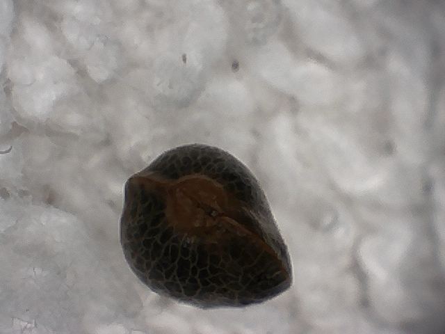 S20170221 0006
