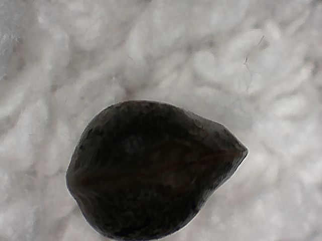 S20170221 0006