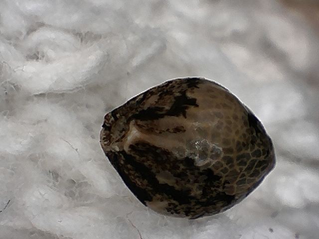 S20170221 0007