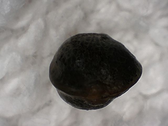 S20170221 0007