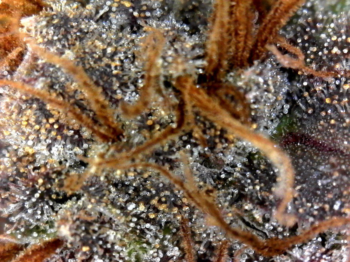 S20180302 0008