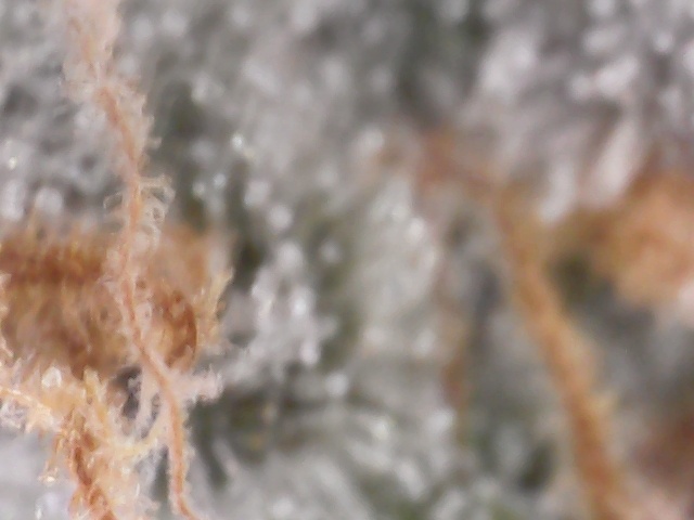 S20210304 0003