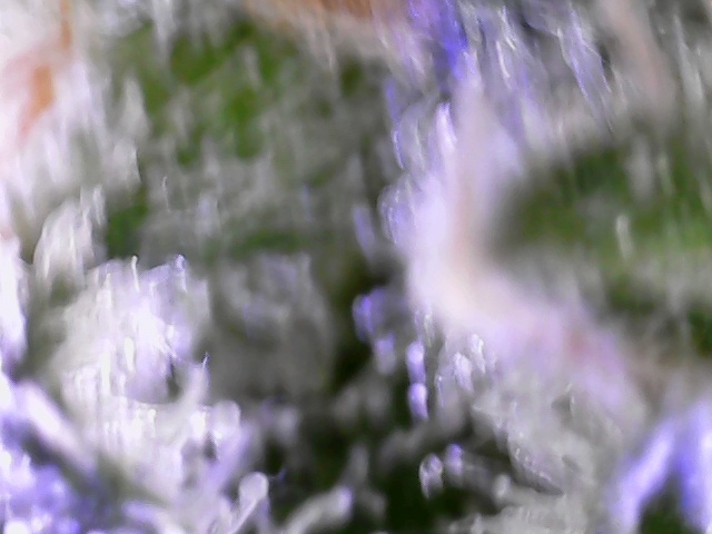 S20210304 0003