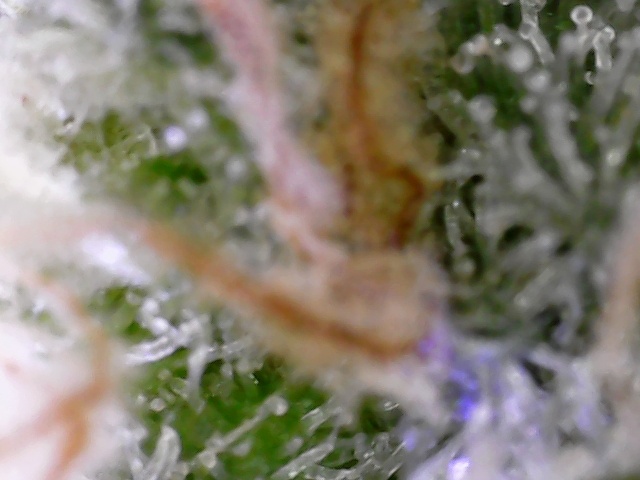 S20210304 0004