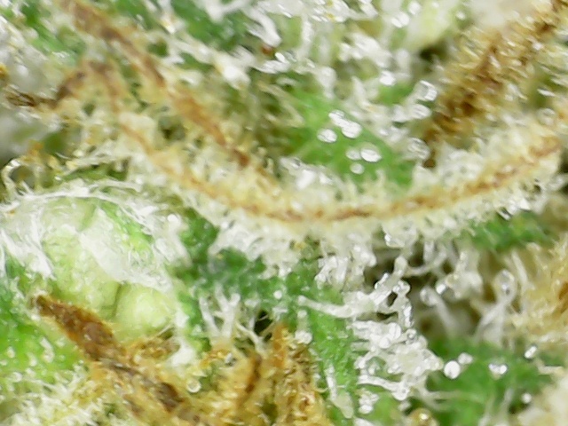 S20210305 0006