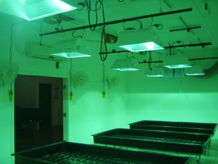 Sac nursery