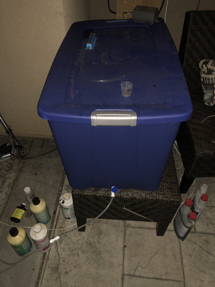 Sacramento outdoor hydro farmer 2