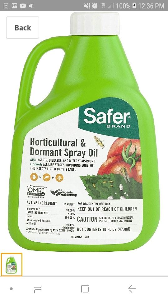 Safer soap vs safer horticultural and dormant spray oil