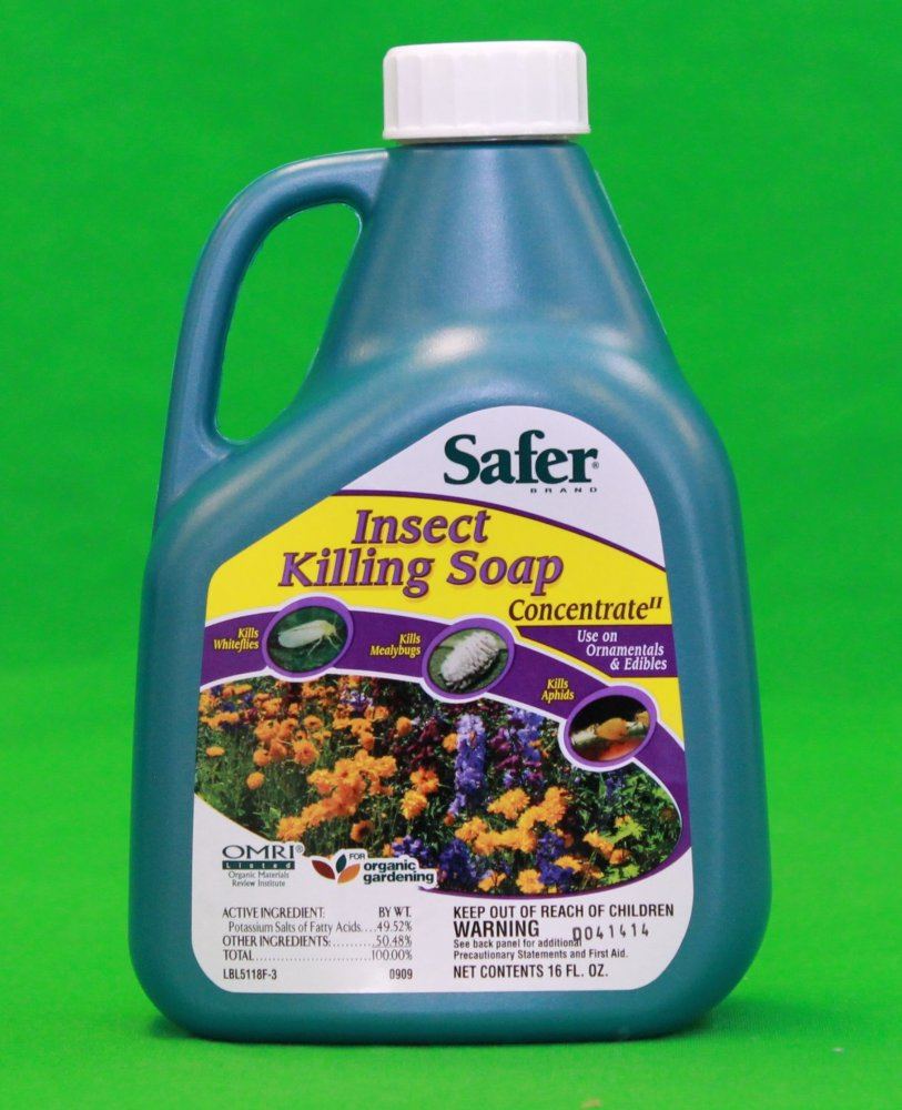 Safer insectkillingsoap 16oz