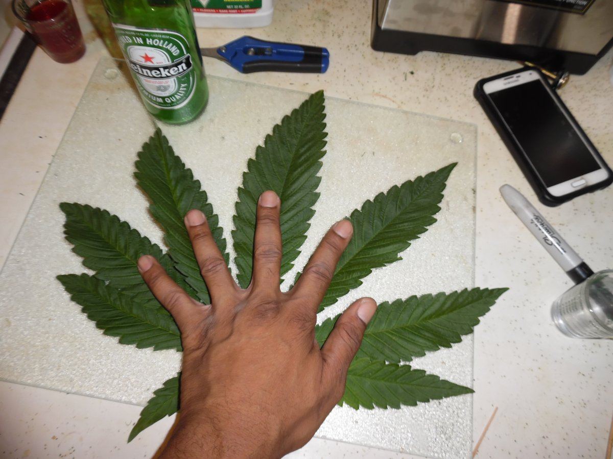 SAM 1451