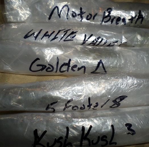 Samples 1