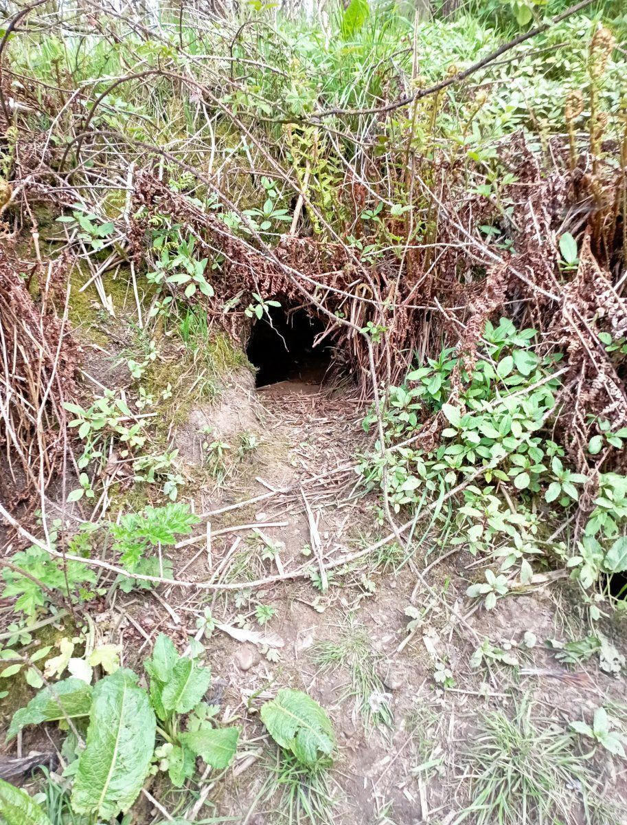 Samsquanch hole