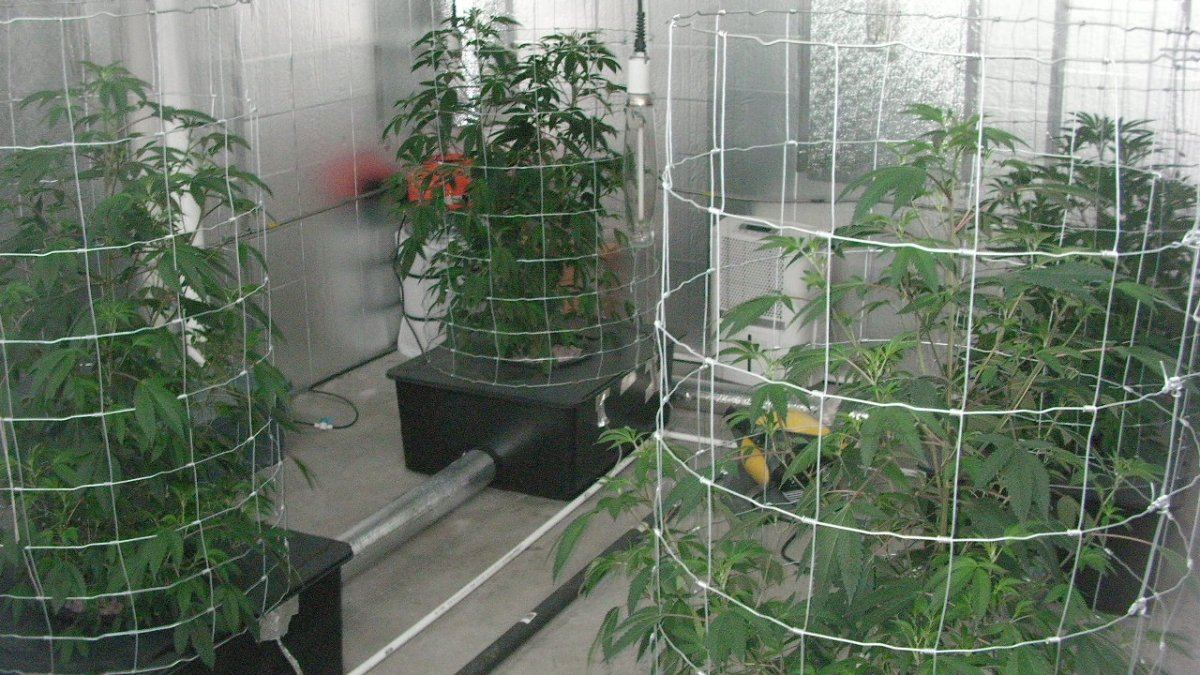 SANY0003
