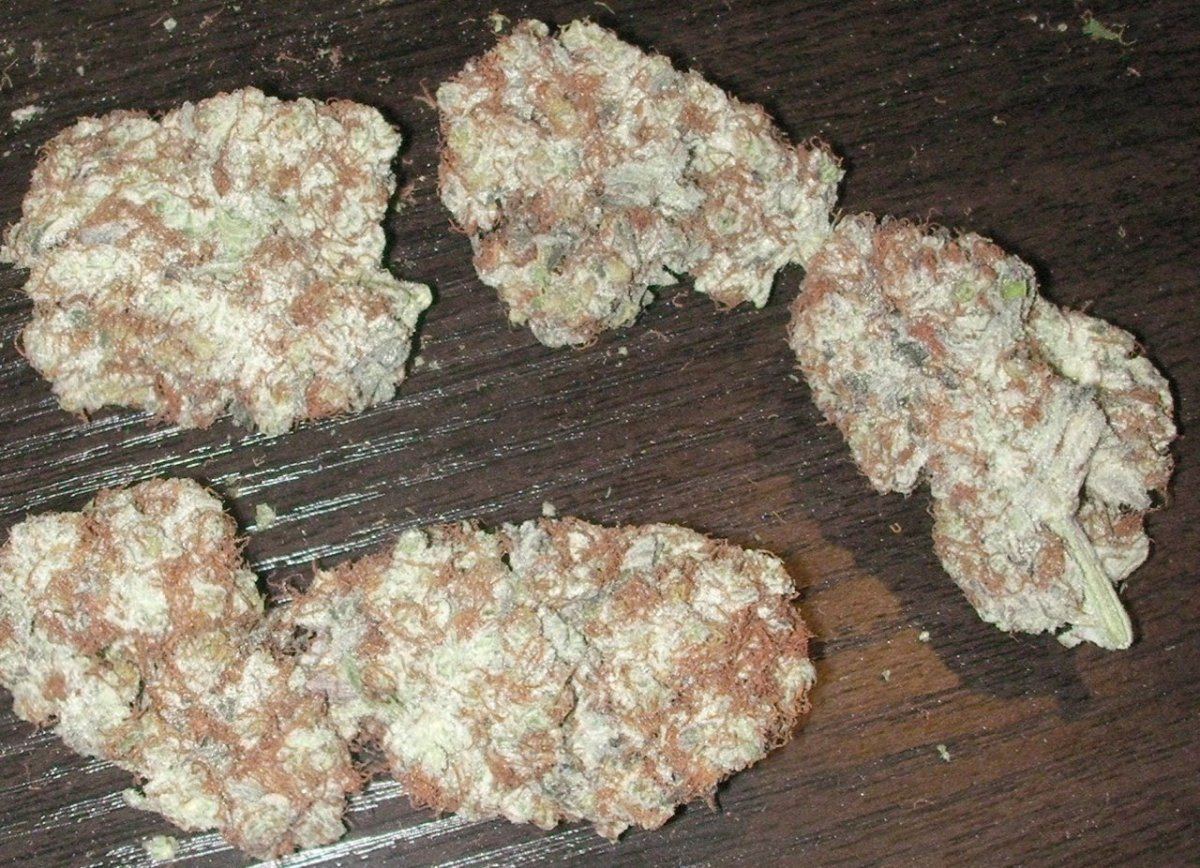 SANY0010