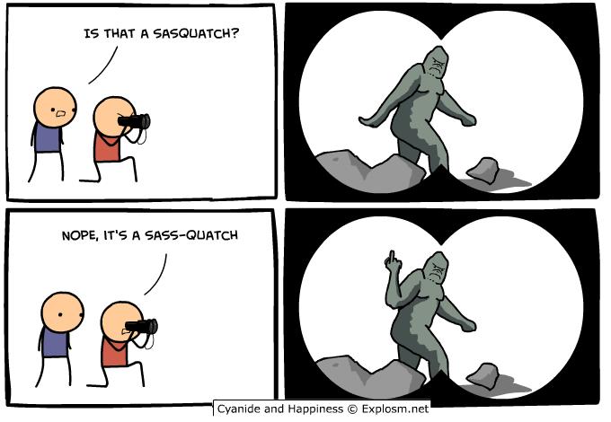 Sass sqwatch