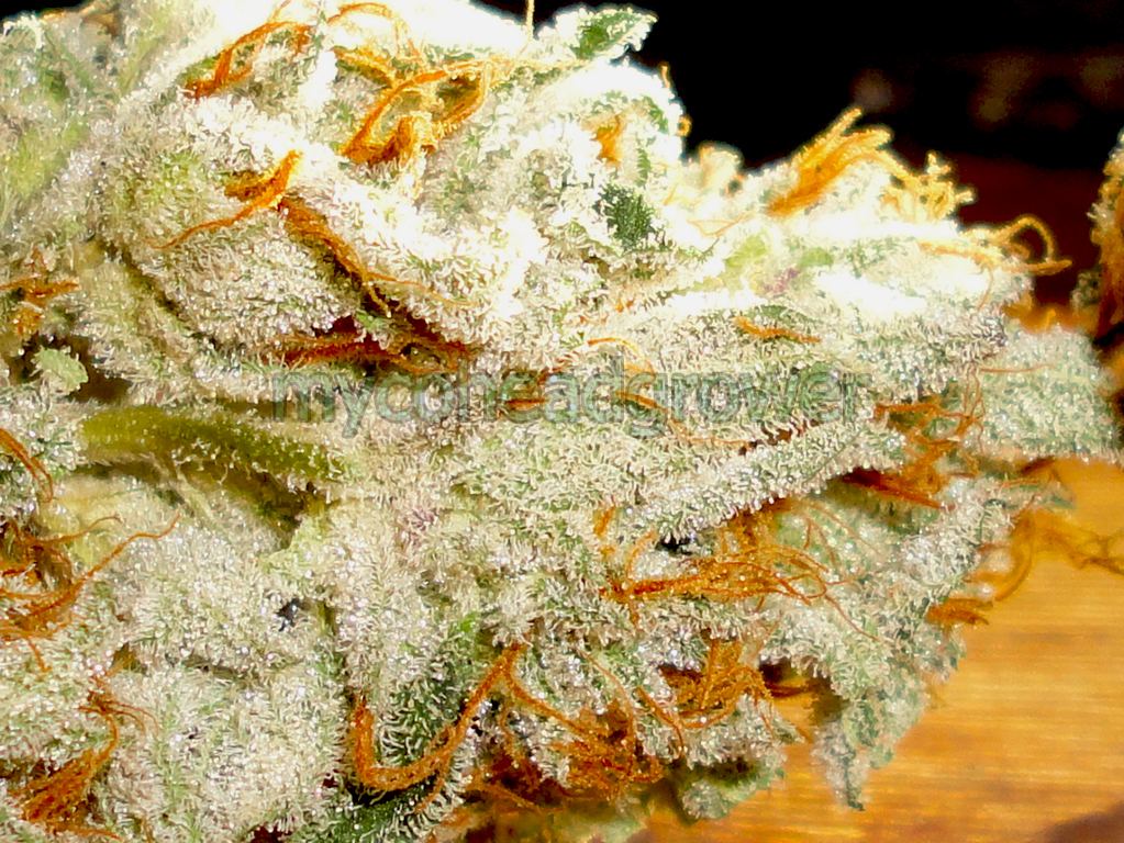 Sb3macro