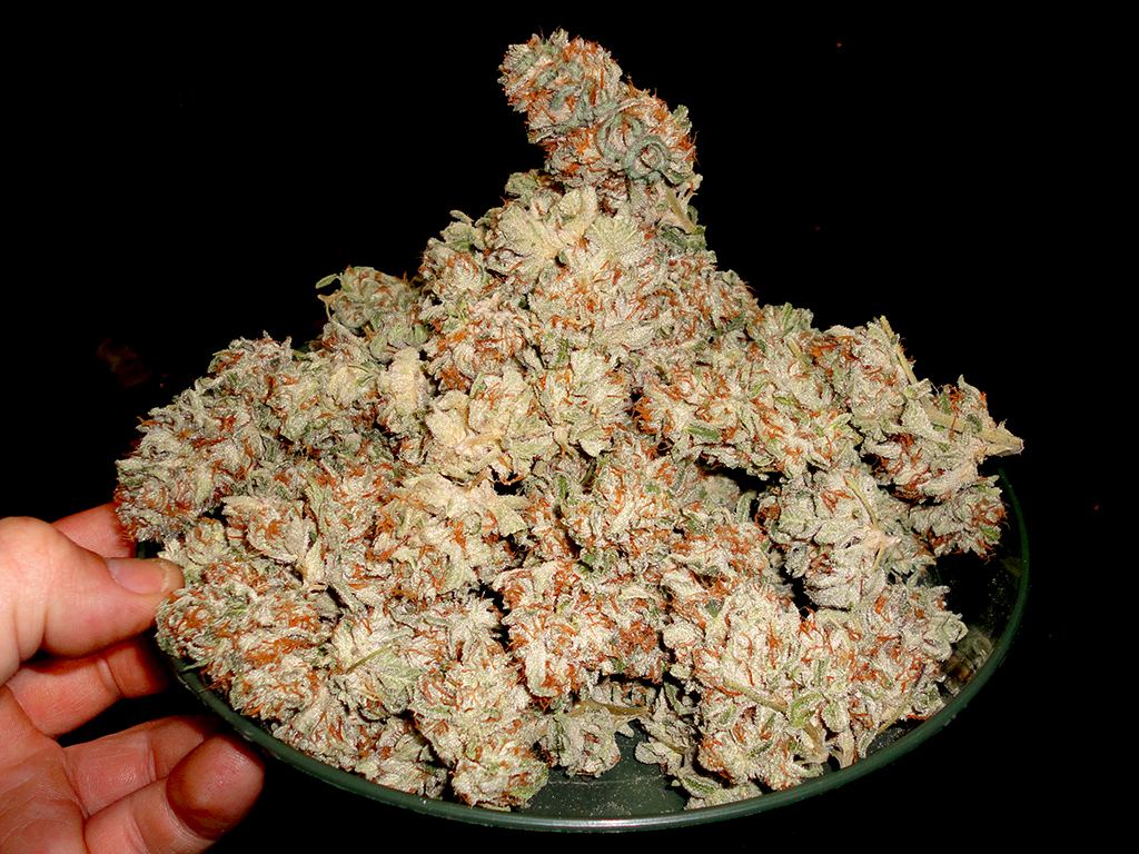 Sb3platter