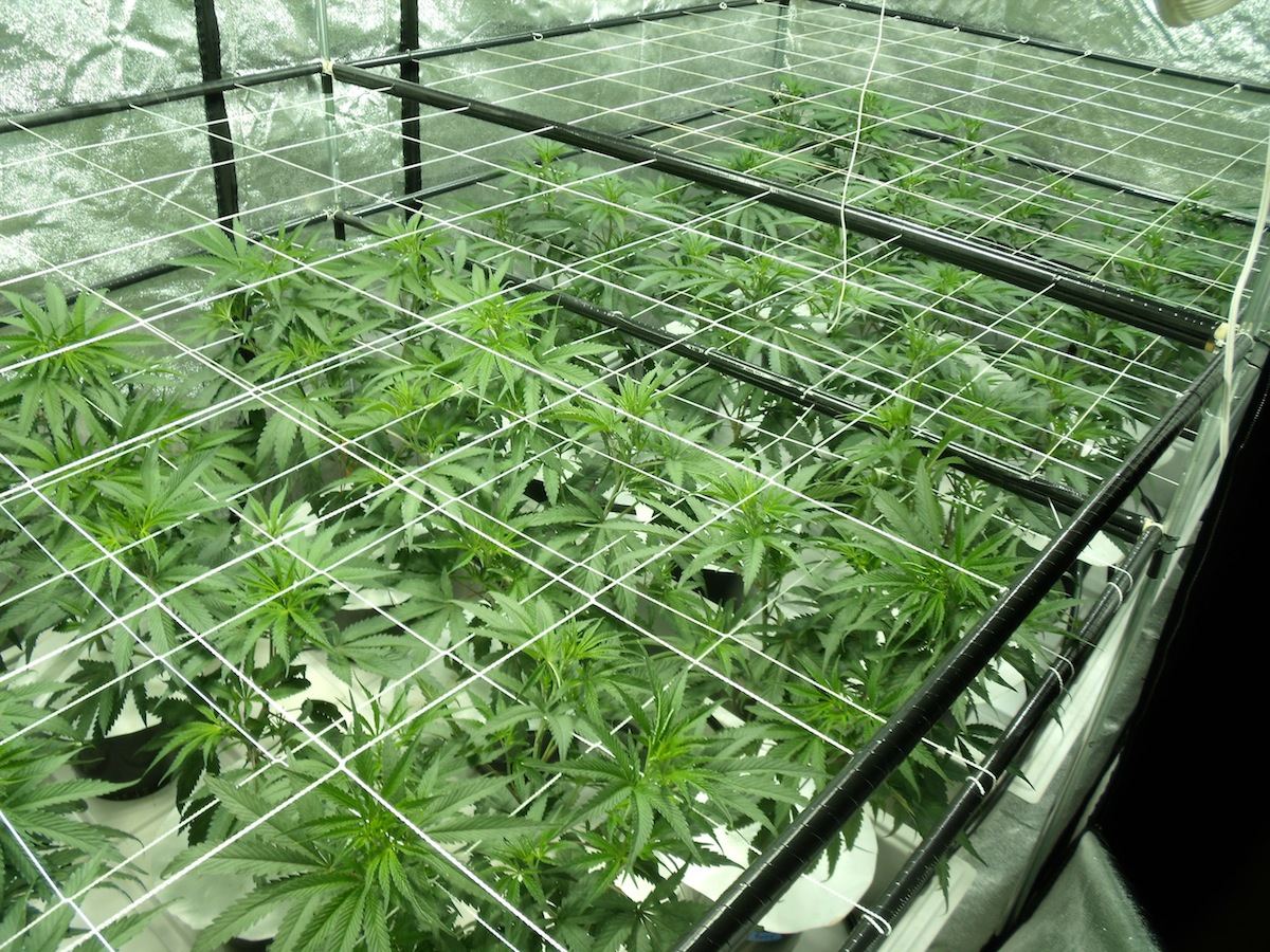 SB Day3 1