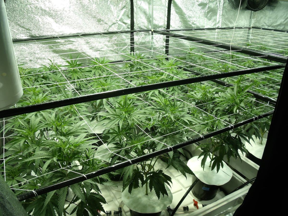 Sb day3 2