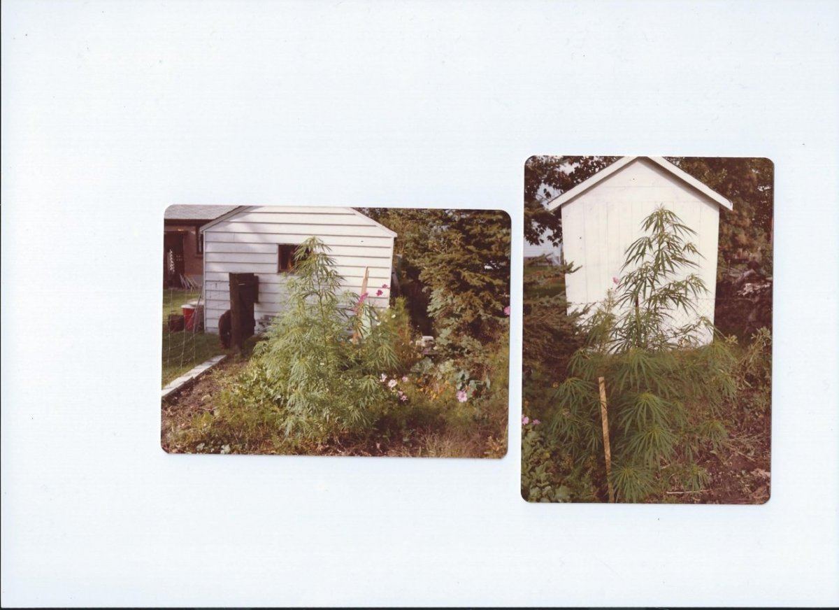 Scan0001