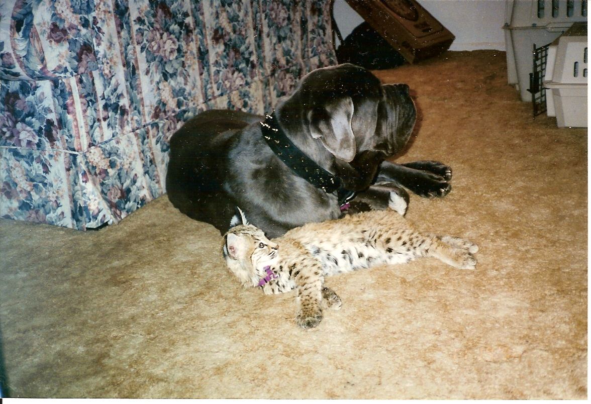 Scan0004