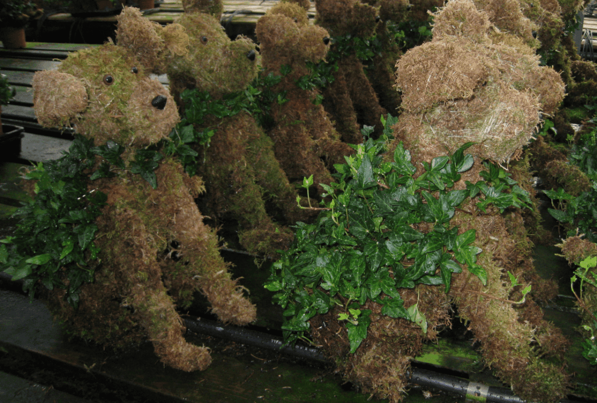 Schuberts Nursery15