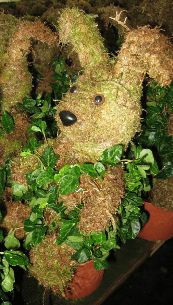 Schuberts Nursery16