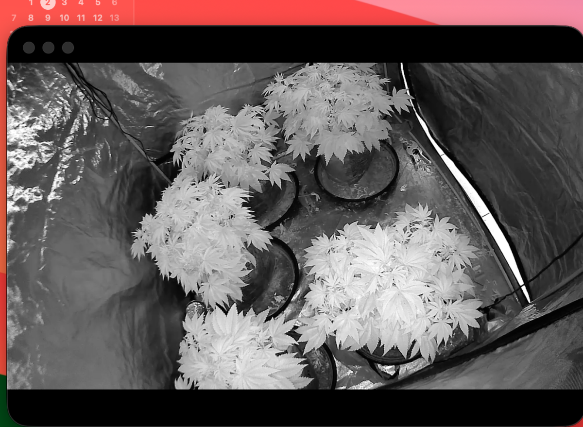 Screenshot 2026 06 02 at 54950PM
