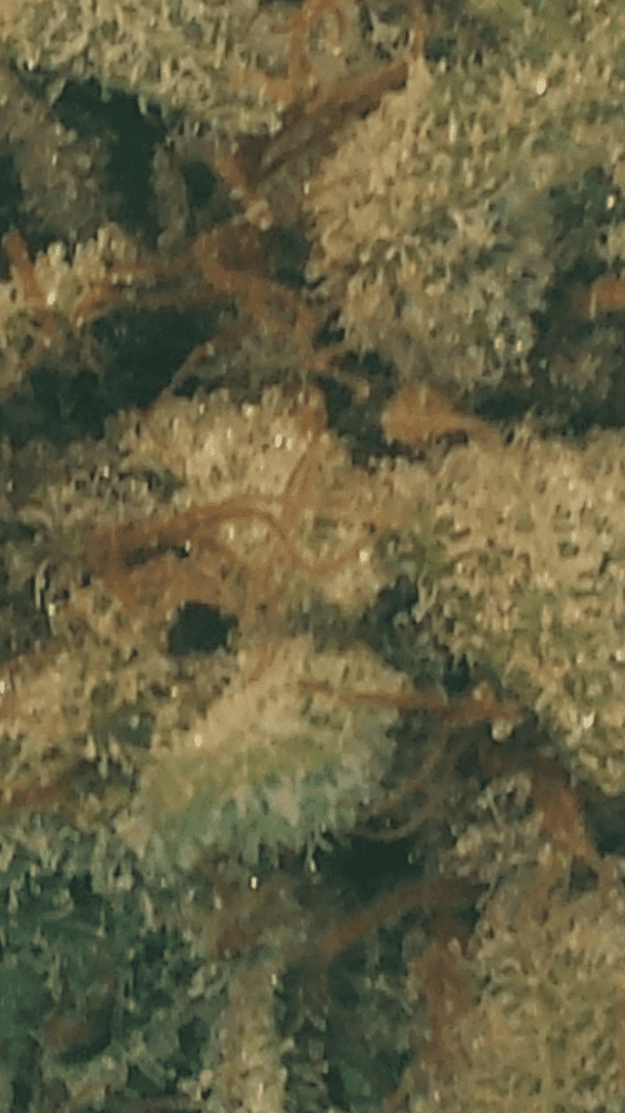 Screenshot 2015 01 22 08 35 21